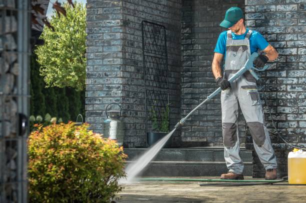 Best Building Exterior Washing  in Burgaw, NC