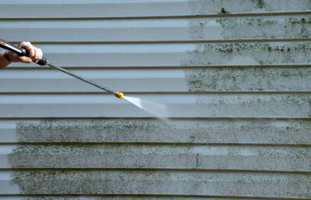 Burgaw, NC Pressure Washing Services Company