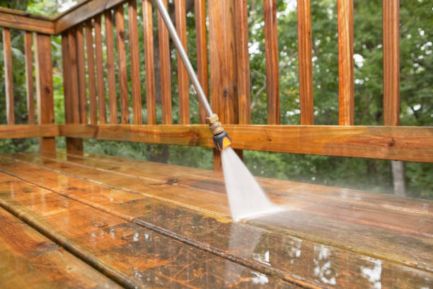 Best Roof Washing  in Burgaw, NC